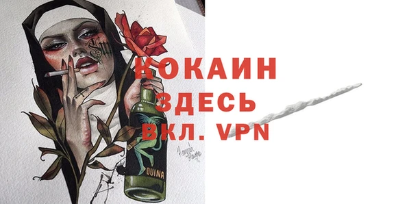 дживик Бородино