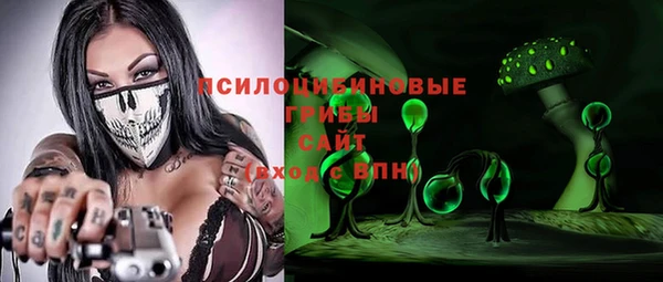 амф Бронницы