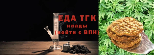 дживик Бородино