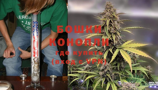 дживик Бородино