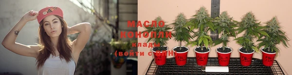 дживик Бородино
