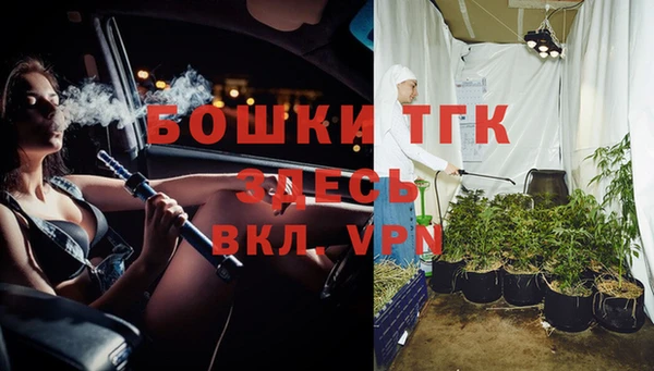 амф Бронницы