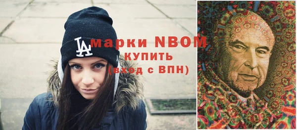 дживик Бородино