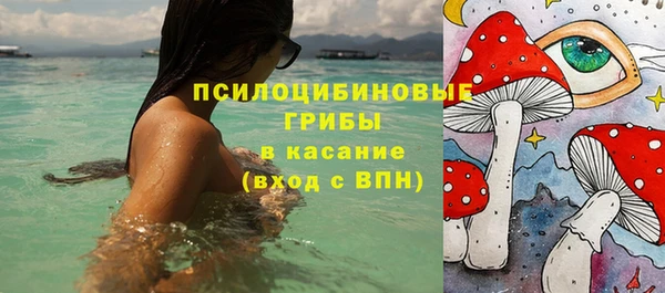 дживик Бородино