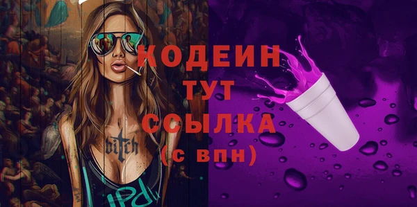 дживик Бородино