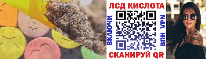 kraken как войти  Чита  Лсд 25 экстази ecstasy 