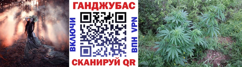 ОМГ ОМГ как зайти  Чита  Бошки марихуана MAZAR 